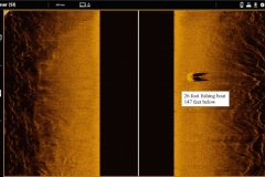 Sonar-image