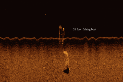 Sonar-image