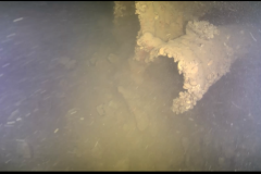 Screenshot-2025-10-27-202753