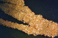 Screen-Shot-2023-10-30-at-6.49.06-PM