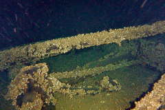 Screen-Shot-2023-10-30-at-6.49.44-PM