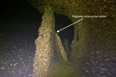 Screen-Shot-2019-09-20-at-10.24.30-PM