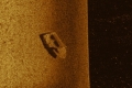 CabinCruser11
