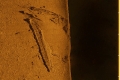 SplitApartWreck3