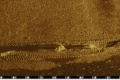 Steamer14
