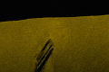 S03060