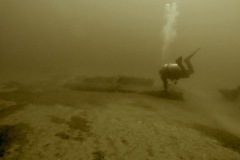 Screen-Shot-2019-11-14-at-10.15.18-AM