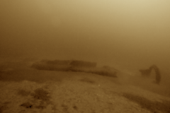 Screen-Shot-2019-11-14-at-10.16.53-AM