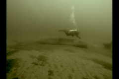 Screenshot-2017-09-14-09.06.47