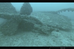 Screen-Shot-2020-08-27-at-1.22.18-PM