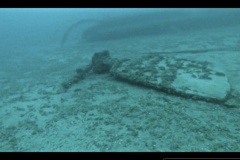 Screen-Shot-2020-08-27-at-1.23.49-PM