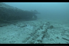 Screen-Shot-2020-08-27-at-1.29.19-PM