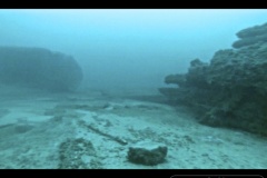 Screen-Shot-2020-08-27-at-1.29.37-PM