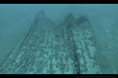 Screen-Shot-2020-08-27-at-1.33.42-PM