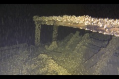 Screen-Shot-2019-09-07-at-11.47.35-AM