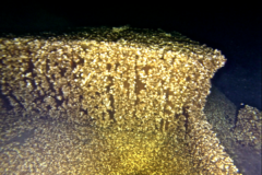 1_Screen-Shot-2019-05-02-at-11.08.32-AM