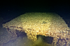 1_Screen-Shot-2019-05-02-at-11.09.39-AM