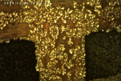 Screen-Shot-2019-05-02-at-10.36.16-AM-2