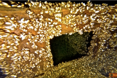 Screen-Shot-2019-05-02-at-10.51.35-AM-2