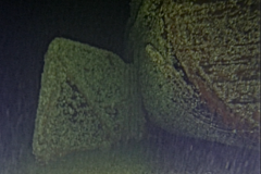 Screen-Shot-2019-05-02-at-12.13.35-PM