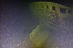 Screen-Shot-2019-05-02-at-12.37.50-PM