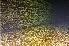 Screen-Shot-2019-05-02-at-12.38.20-PM