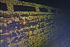 Screen-Shot-2019-05-02-at-12.38.34-PM