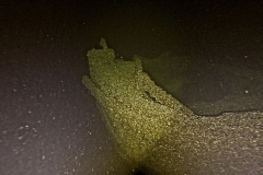 target-9-2018-10-27-21.24.32