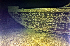 Screen-Shot-2019-05-02-at-11.37.03-AM