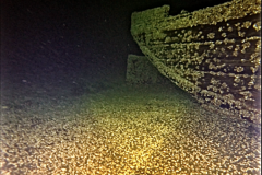 Screen-Shot-2019-05-02-at-11.37.14-AM