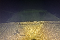 Screen-Shot-2019-05-02-at-11.38.13-AM