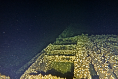 Screen-Shot-2019-05-02-at-11.38.37-AM