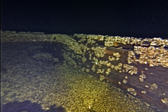 Screen-Shot-2019-05-02-at-11.38.51-AM