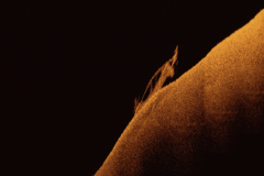 Screenshot-2018-07-15-18.00.19-copy