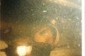 file_8324