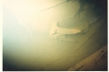 file_8487