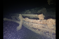 Screen-Shot-2020-09-09-at-6.49.00-PM