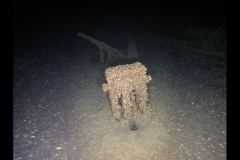 Screen-Shot-2020-09-09-at-6.58.07-PM